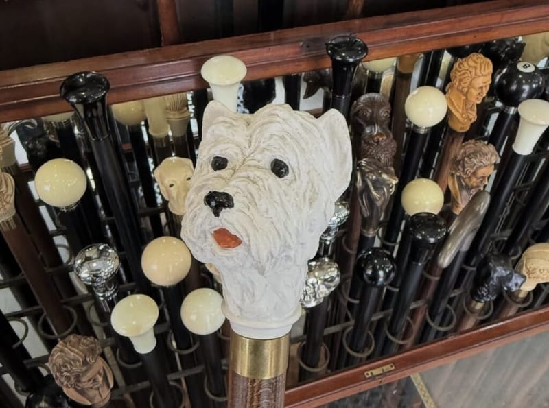 A display of antique walking canes with carved handles, including a white terrier head, seen in London.